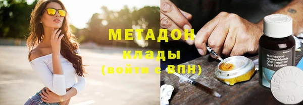 сатива Беломорск