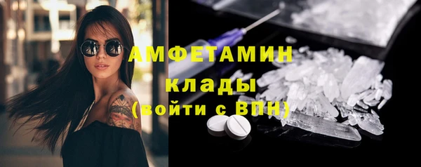сатива Беломорск