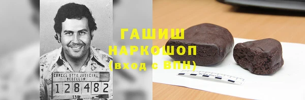 сатива Беломорск