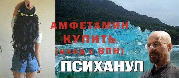 сатива Беломорск
