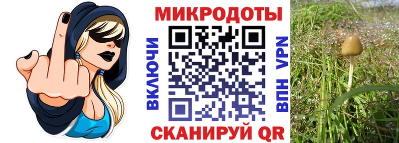 Купить закладки  Богучар  Псилоцибиновые грибы Psilocybe 
